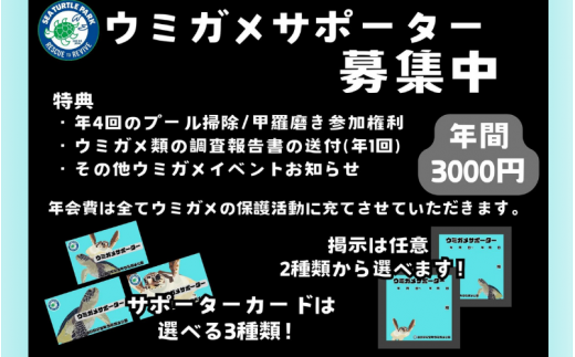 紀宝町ウミガメ公園 ウミガメサポーター（1年間） / ウミガメ サポーター ウミガメ公園 三重県 紀宝町 イベント 餌やり【rkr016】