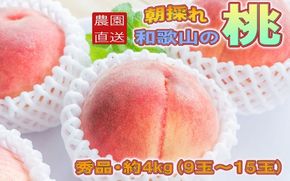 【農園直送】朝採れ和歌山の桃　約4kg・秀品【2027年度発送分】※2027年6月下旬～2027年8月上旬頃順次発送【tec911B】