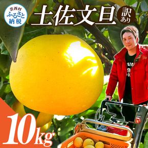 【先行予約】ワケあり土佐文旦(※シミ・キズあり) 10kg・ サイズおまかせ 産地直送 フルーツ 果物 在庫限り