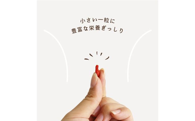 ゴジベリー(クコの実)500g×2袋 【kw0090-0021】