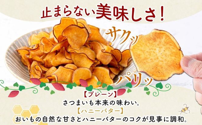 おいもチップス プレーン味 ハニーバター味 各90g×5袋 計10袋 食べ比べ さつまいも はちみつ バター スイーツ サクサク 食感 お茶請け 自社農園 手作業 信州チップス 贈り物 ギフト おいも日和 ねんりん 長野県 坂城町