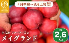 メイグランド 約2.6kg ［おぶせファーマーズ］ 果物 フルーツ ネクタリン 長野県産 信州産 令和8年産 【2026年7月中旬～8月上旬発送】