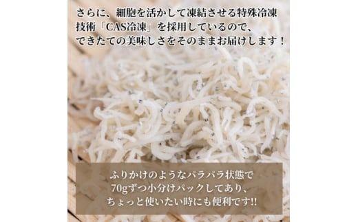 篠島の高級釜揚げしらす干し700g(70g×10袋小分けパック)CAS冷凍・無添加　海鮮丼、離乳食に