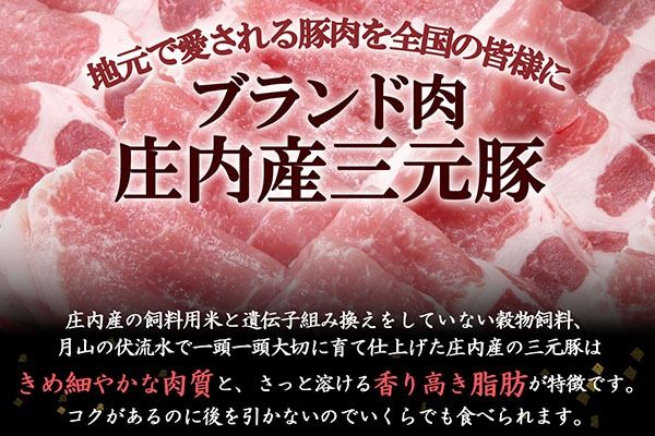 庄内豚ホルモンセット（レギュラー）