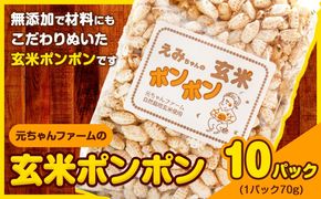 玄米ポンポン 元ちゃんファーム《90日以内に出荷予定(土日祝除く)》 和歌山県 紀の川市 玄米 菓子 送料無料---wsk_gncgmpp_90d_22_14000_300g---