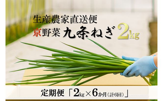【6か月定期便】生産農家直送 京野菜・九条ねぎ2kg〈定期便 ねぎ ネギ 葱 九条ねぎ 京野菜 京都 新鮮 甘い 農家直送 野菜〉 6ヶ月 6回 半年 