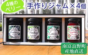 4種のベリー手作りジャム4個セット 北海道 南富良野町 ジャム ブルーベリー ハスカップ カシス ラズベリー 詰合せ 果物 果実 