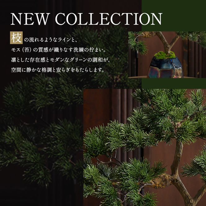 BONSAI  2L26-a TUTGA-80300