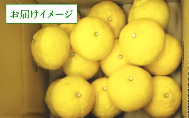 爽やかに甘い！ 糸島産 「はるか」 ジャンボサイズ 約5kg（3L-4Lサイズミックス）糸島市 / 二丈赤米産直センター[ABB031]