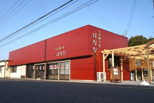 【つぼ焼き芋はなび】つぼ焼き芋干し芋　250ｇ（125ｇ×2袋）｜ 焼き干し芋 干し芋 ほしいも 干しいも ほし芋 焼き芋 やきいも つぼ焼き芋 さつまいも サツマイモ 人気 お菓子 おやつ スイーツ ランキング 取り寄せ おすすめ プレゼント ギフト 小分け 個包装 愛知県 美浜町