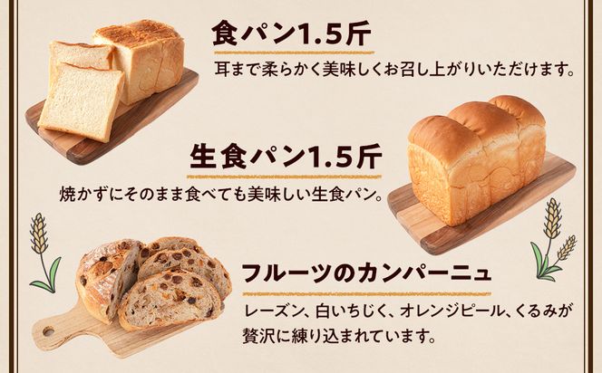 行列ができるパン屋さん！元ホテルシェフが作る3種のパン 食パン：生食パン：フルーツのカンパーニュ をお届け！ ［KG36］ 303446_XM90036