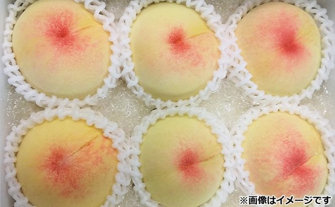 桃 2026年 先行予約 11月の旬な 白桃 冬桃 をお届け！約1.5kg 5～7玉 糖度センサー選果 糖度12度以上 もも モモ 岡山県 赤磐市産 国産 フルーツ 果物 ギフト あみかフルーツ　岡山 旬の桃 少し小ぶり