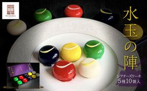 「水玉の陣」 - Gift Box 10 piece -　【 お菓子 スイーツ 洋菓子 宝石みたいなスイーツ 上品 華やか ブルーベリー ゆず ずんだ レアチーズケーキ フランボワーズ 抹茶 】 041009_CZ007