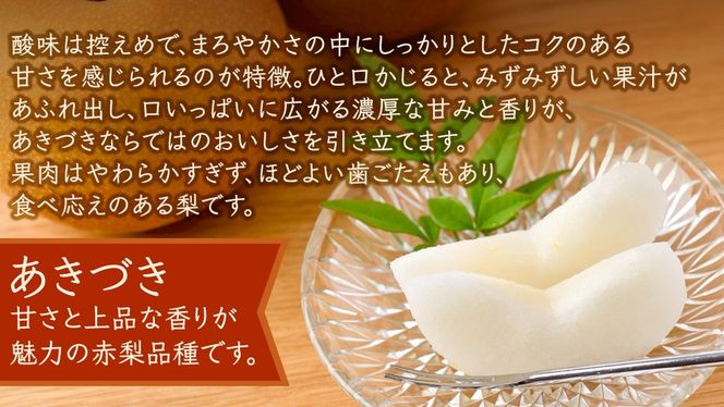 ＜ 訳あり ＞ あきづき 約5kg 【2026年10月より発送開始】（茨城県共通返礼品 [梨]：大子町産） ご家庭用 フルーツ なし ナシ 和梨 梨 わけあり 果実 旬のフルーツ お取り寄せ くだもの 果物 みずみずしい