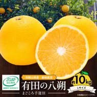 【2027年先行予約】和歌山県産 有田の八朔 (はっさく) 約10kg【Lサイズ】まごころ手選別 _ZE6075n