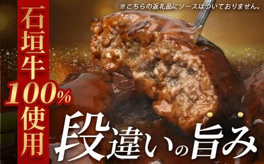 石垣牛100％ ハンバーグ　(100ｇ×15個)｜国産 石垣牛100% 高級 黒毛和牛 ビーフ ハンバーグ詰め合わせ ID-2