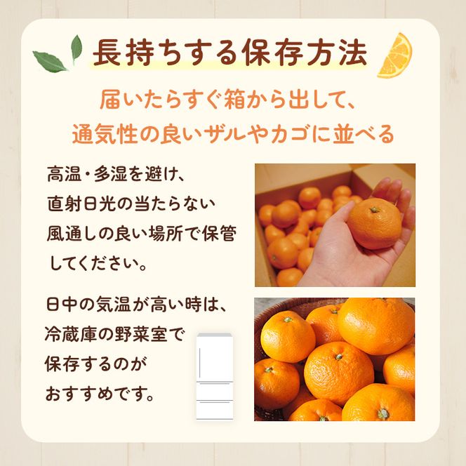 家庭用 蔵出しみかん 2.5kg+250g（傷み補償分）【光センサー選果】