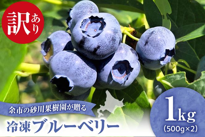 �y�k�C���]�s���z�]�s�̍���ʎ��������� �󂠂�Ⓚ�u���[�x���[1Kg_Y033-0037