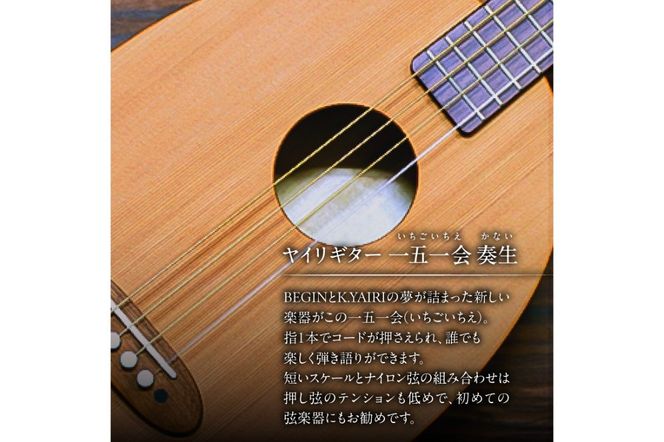 ヤイリギター　一五一会　奏生（アコースティックギター）【0025-001】