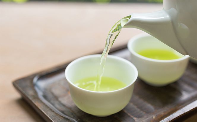 早摘み煎茶いちばん星100ｇ入×3本　宇治茶の木谷製茶場　〈 煎茶 お茶 茶 緑茶 新茶 茶葉 お茶葉 早摘み いちばん星 宇治 〉 加工食品 