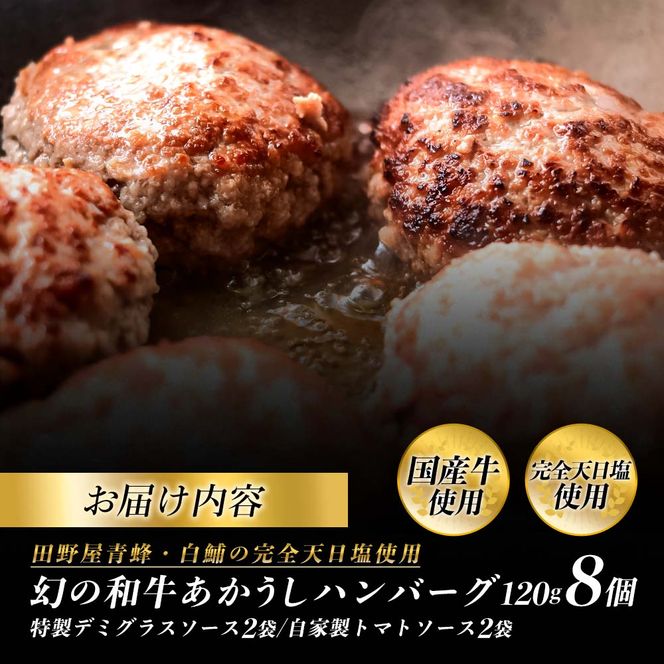 幻のあかうし和牛ハンバーグ 8個入り 1個120g 特製デミソース トマトソース付き 田野屋青蜂 白鯆 完全天日塩練り込み 肉 お肉 国産牛 おかず おいしい お取り寄せ 冷凍 配送 高知県 田野町