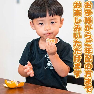 ZE6378n_有田の不知火(しらぬひ) 【訳あり　家庭用】　3kg (S～4Lサイズ混合)まごころ手選別