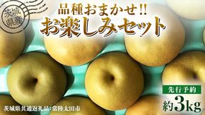 【 先行予約 】茨城県産 梨 品種おまかせお楽しみセット 約3kg 6玉～10玉 ( 茨城県共通返礼品 : 常陸太田市 )【 2025年 9月上旬頃より発送 】 フルーツ 果物 国産 日本産 梨 ナシ なし 和梨 期間限定 数量限定