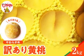 【2026年産】黄桃 品種おまかせ 訳あり2kg(やわらかめ) 松栗提供 山形県 東根市 hi062-064