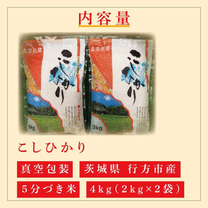 ★真空包装★R7年産こしひかり 4kg(2kg×2袋)【5分づき】｜米 こめ お米 コシヒカリ こしひかり 真空 真空包装 5分づき 人気 個包装 茨城県 行方市 送料無料(CZ-6-3)