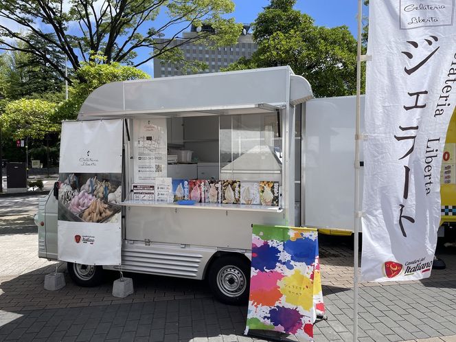 ジェラート騎士が贈る　ジェラートギフト6個セット【菓子 アイス ヨーグルト ジェラート スイーツ デザート 乳製品 仙台 ギフト グルメ 高級 甘味 贈り物 プレゼント クリーミー】 041009_GS002