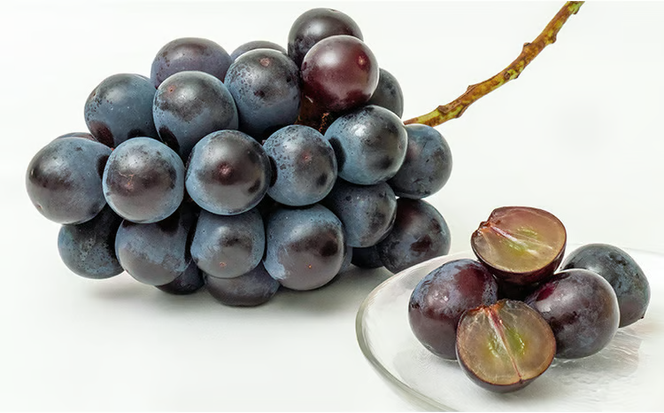 ぶどう 2026年 先行予約 ニュー ピオーネ 2房（1房480g以上）約1kg 化粧箱入り ブドウ 葡萄 岡山県産 国産 フルーツ 果物 ギフト 甘みが強い 酸味 皮離れがいい 大粒 食べ応え [№5735-1464]