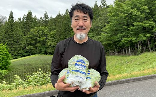 採れたて新鮮 水耕野菜のサラダセット 5種 フリルアイスレタス・グリーンリーフレタス・サラダ水菜・クレソン・ホワイトセロリ 野菜 新鮮 サラダ F4N-3097