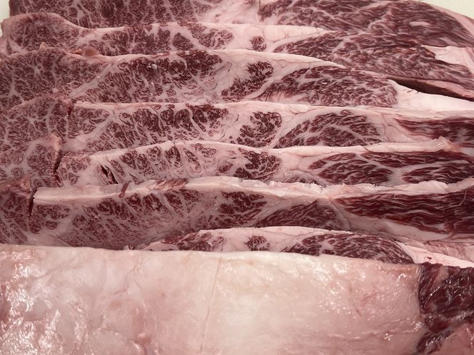 y{szB (Y) ɌJr^Ђ400gbB Y  Jr Ɍ [2201]