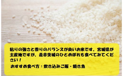 令和7年産 茨城ひとめぼれ 10kg 5kg×2袋 ひとめぼれ 白米 精米 ごはん お米 国産 茨城県産 守谷市 送料無料