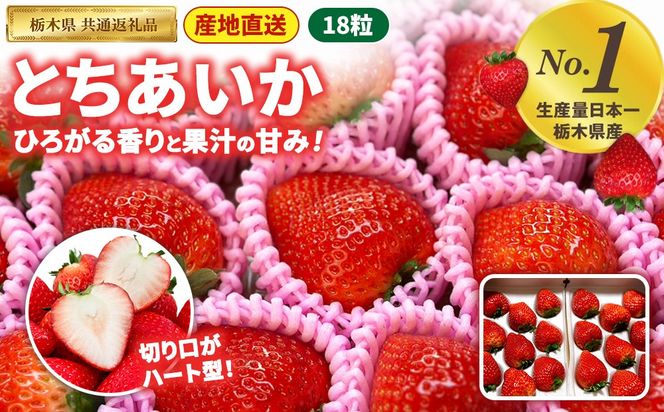いちご とちあいか 18粒入【栃木県共通返礼品】 | いちご イチゴ 苺 とちあいか 生いちご 高級いちご 季節の果物 栃木県産 国産 農家直送 ギフト プレゼント お祝い お返し いちごギフト ※2026年12月～発送