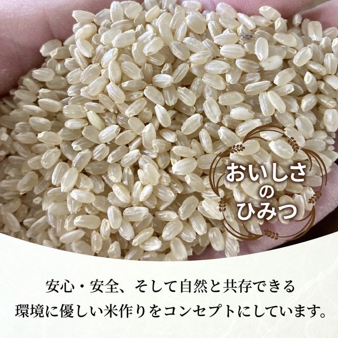 お米【神喜舞】精米 5kg [令和7年産]《 神喜米 お米 精米 5キロ 米 おこめ 国産 送料無料 ヒノヒカリ 》【2502B08402】