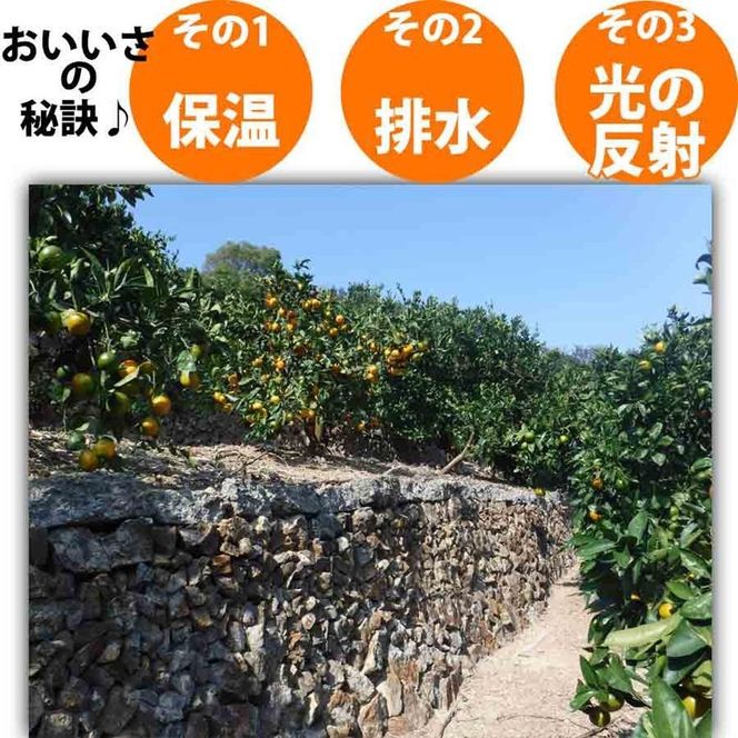 みかん 8kg ご家庭用　和歌山県有田川町産　有田みかん ありだみかん CE055