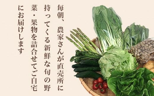 直売所から直送 旬の野菜・果物セット 6～10品 ［小布施屋］野菜 やさい 果物 フルーツ 詰め合わせ 詰合せ 令和7年産【2025年5月下旬～9月上旬発送】 ［H-79］