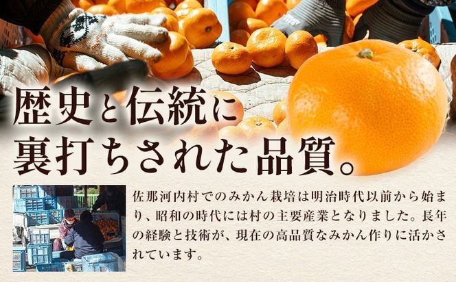 訳あり 熟成みかん 1.9kg or 4.5kg or 10kg 《1月上旬-3月上旬頃出荷》徳島 柑橘 ミカン 蜜柑 フルーツ 青果物 大容量 お試し 徳島県 佐那河内村---sanagouchi_lcl_40_1900g---