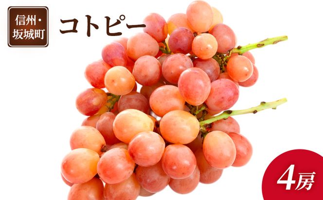 ぶどう コトピー 4房 葡萄 ブドウ フルーツ 果物 デザート おやつ 信州 長野 坂城町