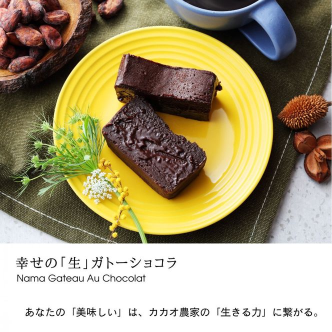 極上の口溶け。幸せの生ガトーショコラ 300g【 高級 濃厚  極上スイーツ グルテンフリー チョコ ショコラテリーヌ 高品質クーベルチュールチョコレート使用 一流シェフ 神奈川県 小田原市 】● 142069_DW002