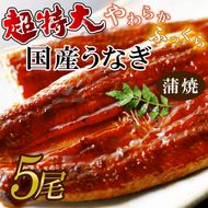超特大！やわらか国内産うなぎ蒲焼220～250g 5尾　計1100g以上|うなぎ 鰻 蒲焼 特大 茨城県 行方市(AD-92-1)