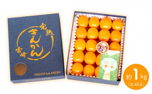 【田口ファミリーファーム】皮ごとぱくっと!完熟きんかん3L　40玉(約1kg)(2026年2月中旬発送開始) N053-YZA157