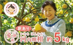 先行予約 訳あり 河内晩柑 5kg 5000円 みかん かわちばんかん わけあり ミカン mikan 愛南ゴールド あいなん ゴールド 家庭用 少量 お試し 文旦 グレープフルーツ 和製 家庭用 産地直送 国産 農家直送 期間限定 数量限定 先行 受付 事前 予約 ビタミン 特産品 ゼリー ジュース 人気 限定 さわやか 甘い フルーツ 果物 柑橘 蜜柑 規格外 あいなんマザーズ 愛南町 愛媛県