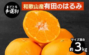 【先行予約】【まごころ手選別】和歌山県産 はるみ 約3kg（サイズ混合）ご家庭用 S～4Lサイズ混合 柑橘