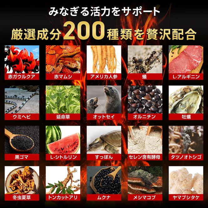 ハルクファクター 20倍濃縮 マカ 亜鉛 サプリ 30日分 153000mg 特許成分 エナジー成分200種 活力 スタミナ ローヤルゼリー コエンザイムQ10 サプリメント 男性 女性 妊活 栄養機能食品 国産 人気 美容 maca 