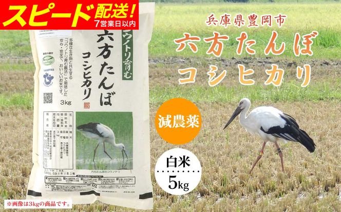 新米 六方たんぼ コシヒカリ 減農薬（白米：5kg）令和8年産 / 米 お米 精米 コシヒカリ コウノトリ育む農法
