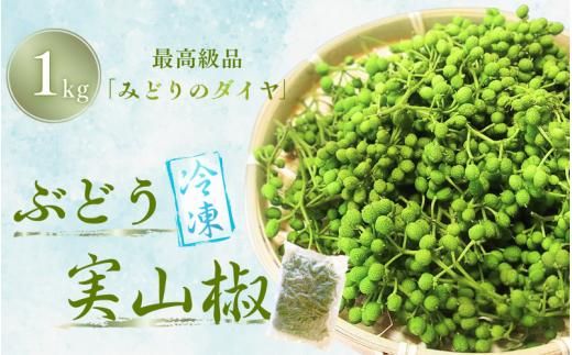  冷凍 ぶどう 生実山椒 1kg (1kg×1袋) / 山椒 さんしょう 香辛料 調味料 薬味 冷凍 ぶどう山椒 生山椒 和歌山県 紀美野町 生実山椒【twn044-cbudo-1B】