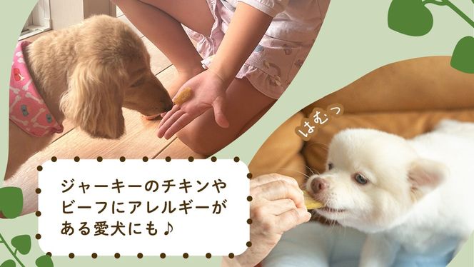 犬のおやつ 国産 干し芋 無選別 訳あり 400g (100g × 4袋) 送料無料 保存料不使用 ドックフード 国産手作り さつまいも 人気 個包装 栄養 効能 犬 わんちゃん 少量 小分け [EA18-NT]