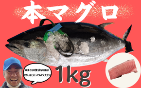 【本まぐろの贅沢な味わい】本マグロ　1kg 本マグロ 本まぐろ まぐろ マグロ 刺身 さし身 赤身 トロ 寿司ネタ 海鮮 海の幸 魚介 ギフト 贈答用 兵庫県